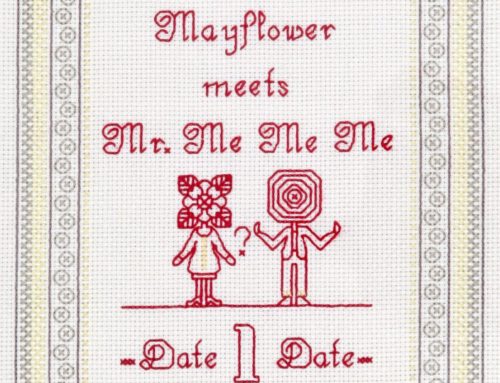 Mr Me Me Me (Mayflower Series)